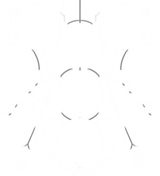 Architect