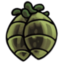 Silksong Conjoined Heart Memento