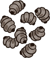 Muckmaggot