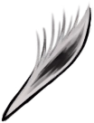 Spine Core